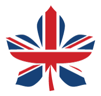 British Dissertation Help Logo