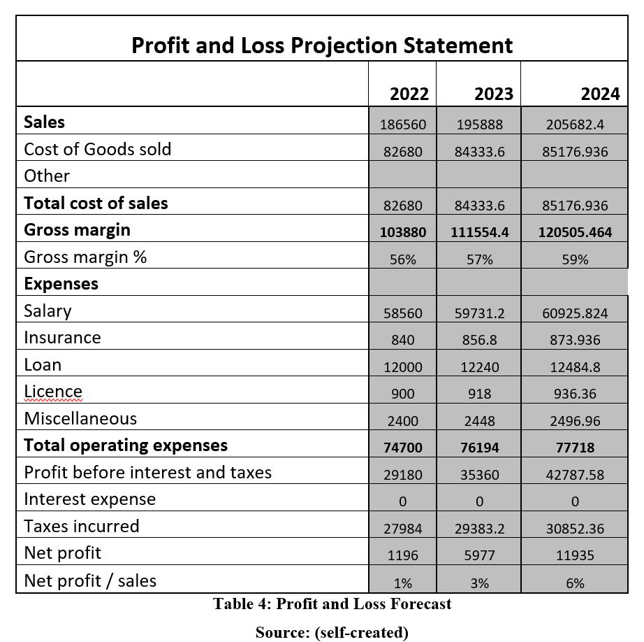 Profit and Loss Forecast